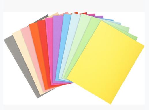 Pastas Exacompta A4 Forever, cores sortidas, 220g - 100 unidades -