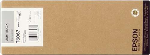 Epson T6067 Negro Light Cartucho de Tinta Original - C13T606700 - Prinkweb