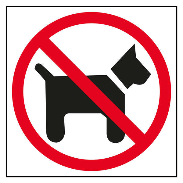 Aplique a placa de sinalização "Proibida a entrada de cães" (1 unidade). 