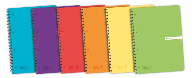 Enri Status Europeanbook A4+ Tapa de Plastico Translucido - Cuaderno con 120 Hojas - Formato 5x5 - Surtido de Colores - Ideal para Apuntes y Dibujos - Cantidad: 5 - Prinkweb